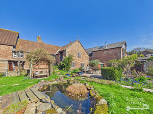 Pond- click for photo gallery